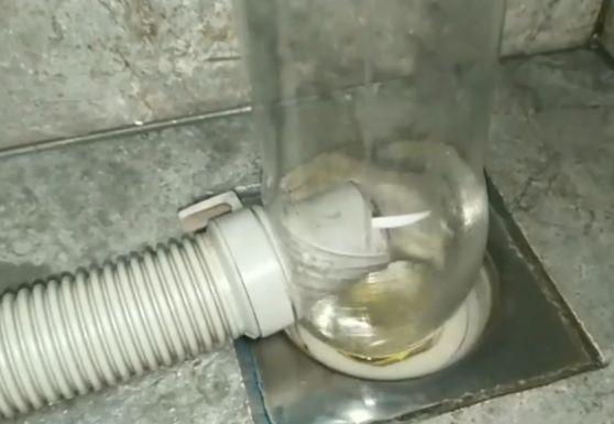 飲料瓶大用途,和洗衣機(jī)排水管碰到一起,解決大問(wèn)題